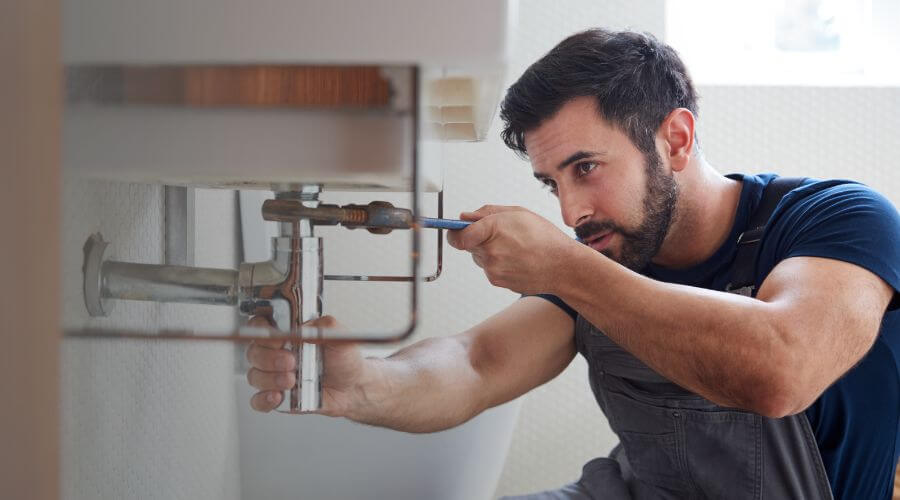 Trap Repair/Replacement in Worthington, IA
